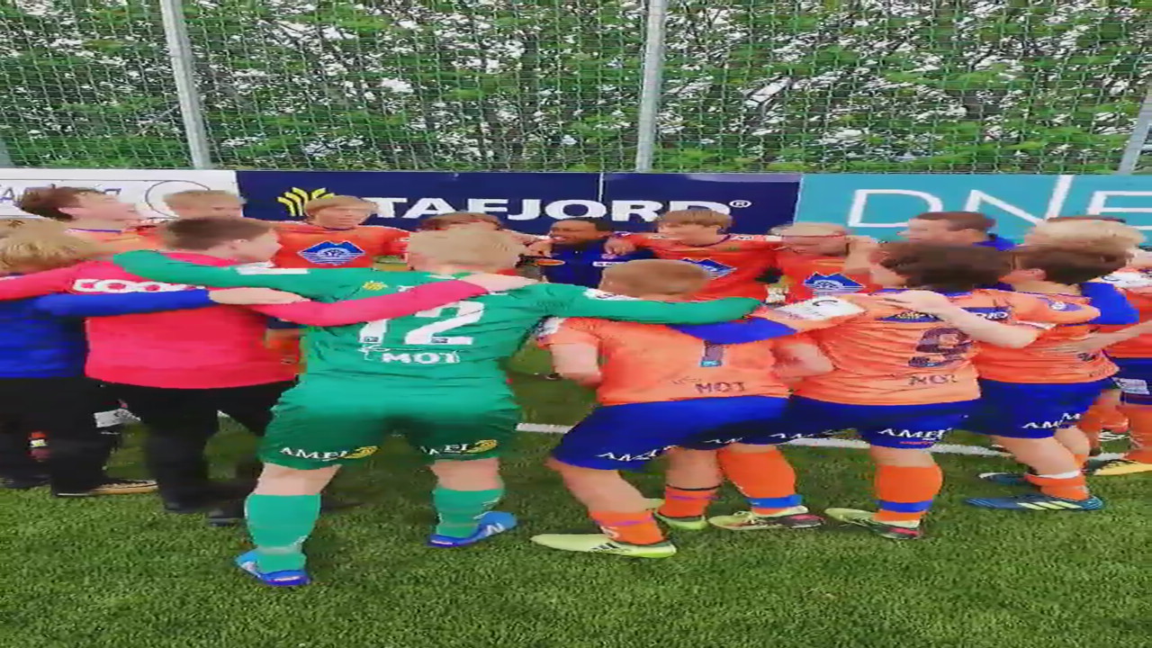 video-1529153223.mp4